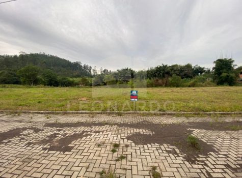 Imagem do WhatsApp de 2025-09-02 à(s) 16.15.21_12c15ded