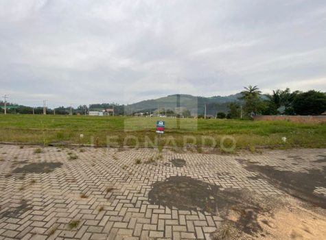 Imagem do WhatsApp de 2025-09-02 à(s) 16.15.21_f9517940