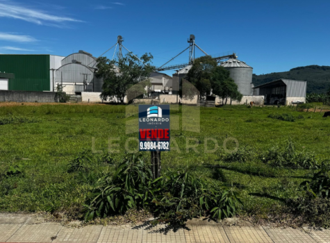 Imagens para site (23)