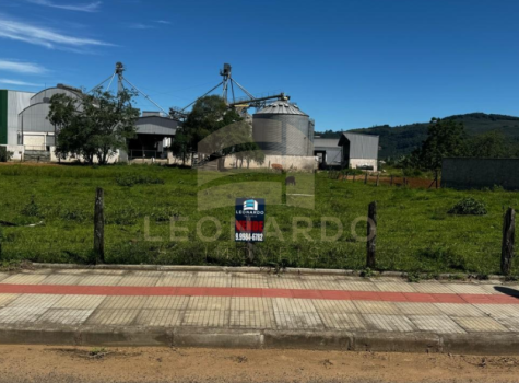 Imagens para site (25)