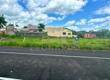 Imagens para site (26)