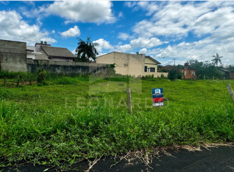 Imagens para site (27)