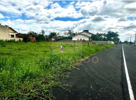 Imagens para site (28)