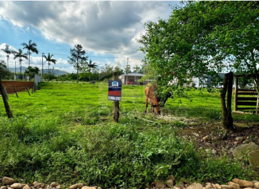 Imagens para site (35)