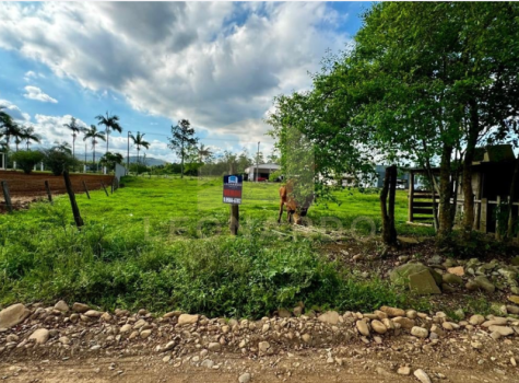 Imagens para site (36)