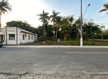 image (1)