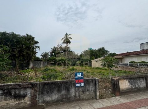 lote à venda em frente a loja trevis, prop. fernando saretto site 03